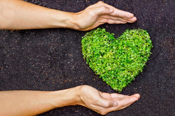 7 façons de faire des achats plus écologiques et de soutenir les associations à but non lucratif grâce à AmazonSmile